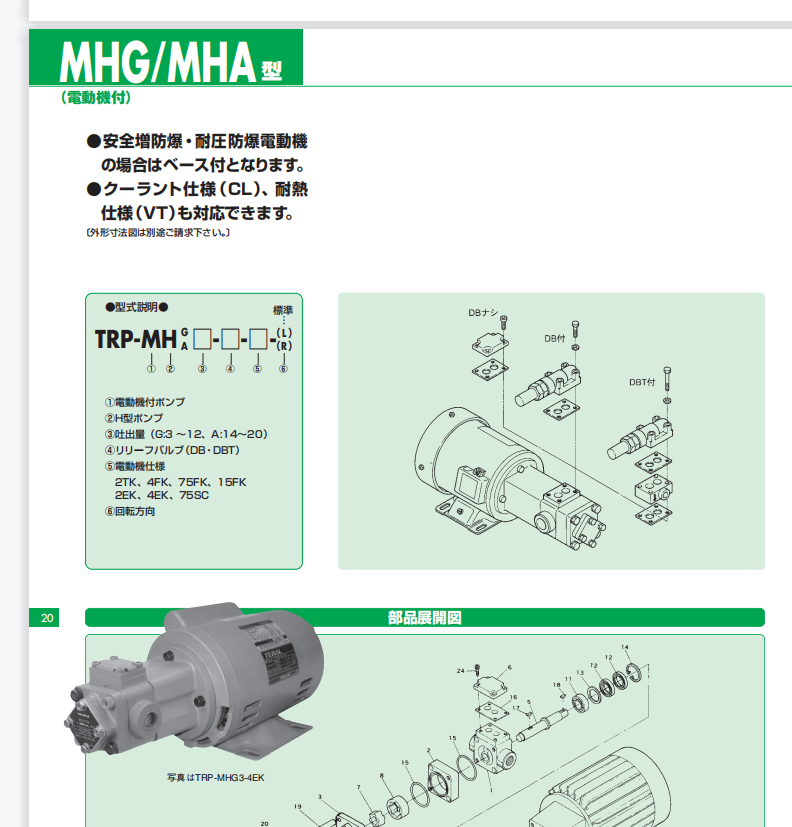 泰拉尔泵型号：TRP-MHG10-DBT-65FKC-CVM...