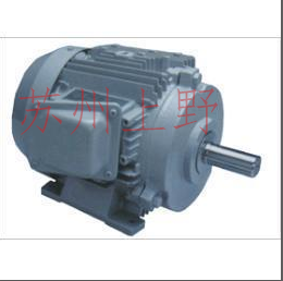 日本原装进口川本电机型号：GEL1006M4ME11（11K...