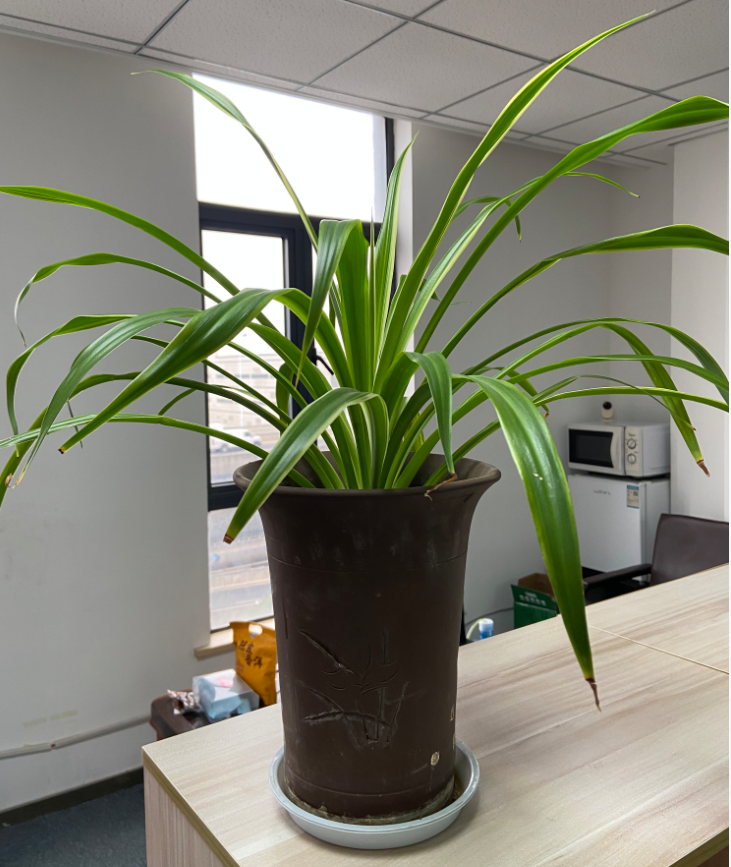 1771909919.png QQ截图20260224131137.png