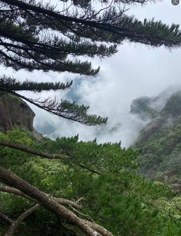 登临黄山.png